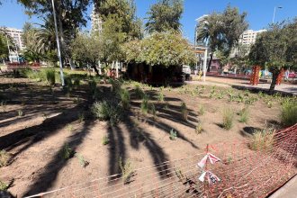 WhatsApp Image 2026-04-01 at 16.03.43.jpeg